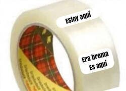 Enlace a ¿Dónde acaba el celo?