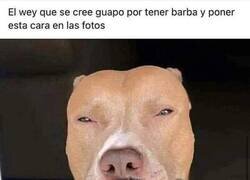 Enlace a Tú también conoces a alguien así