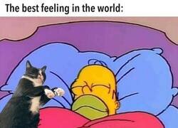 Enlace a No necesito nada más