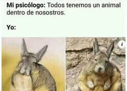 Enlace a Mi animal interior