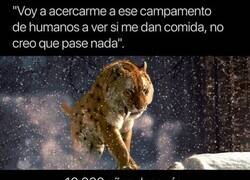 Enlace a Hemos subyugado a los felinos