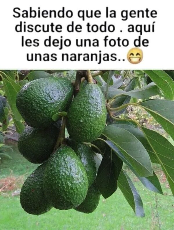 Meme_otros - No pretendo generar otro debate pero...
