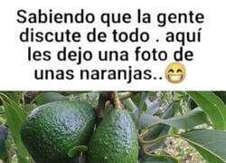 Enlace a No pretendo generar otro debate pero...