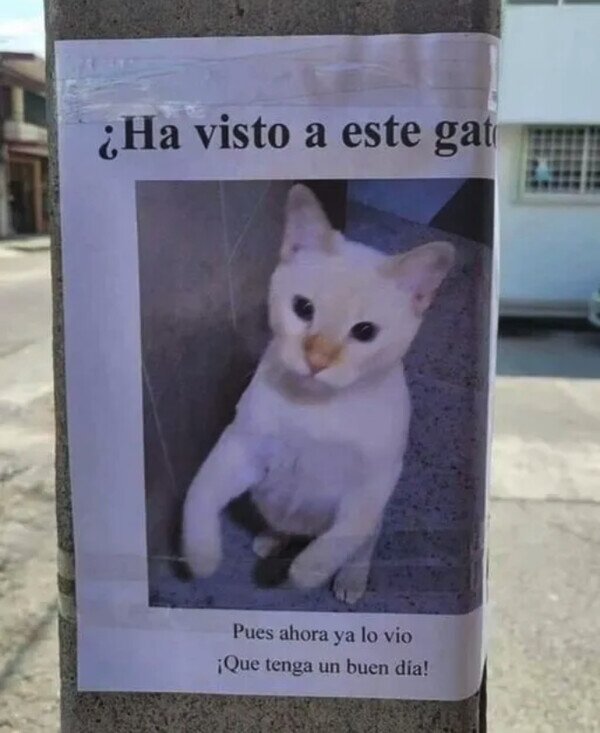 Meme_otros - Y a seguir con tu día