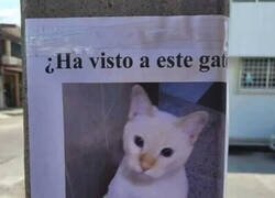 Enlace a Y a seguir con tu día