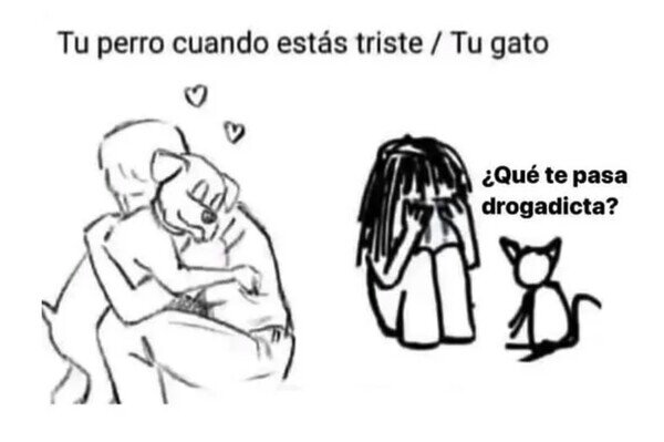 Otros - El segundo no tiene ninguna empatía