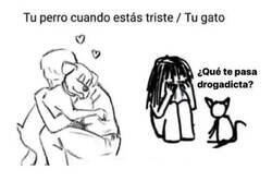 Enlace a El segundo no tiene ninguna empatía