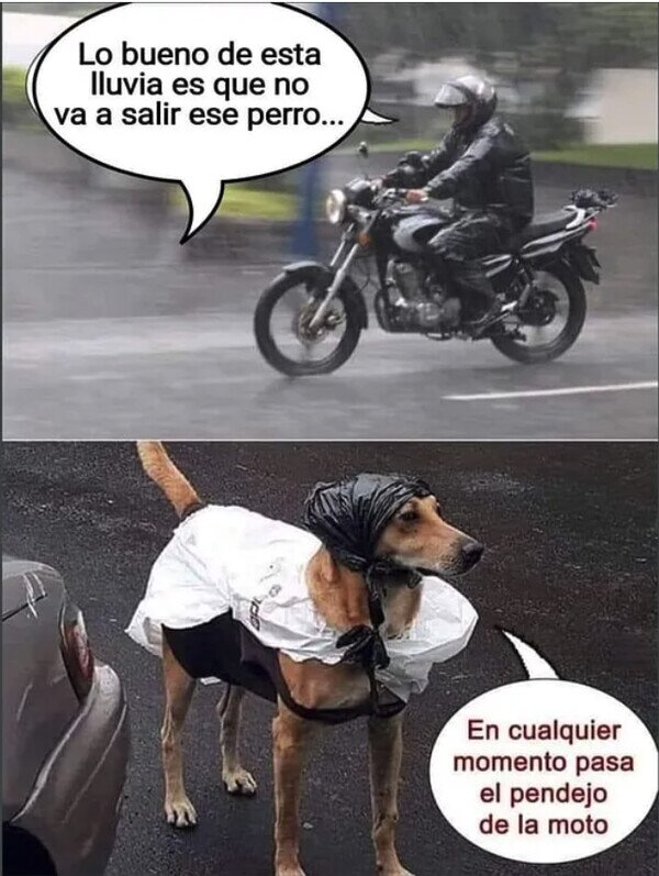 Meme_otros - Siempre al acecho