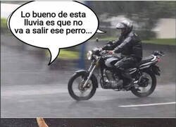 Enlace a Siempre al acecho