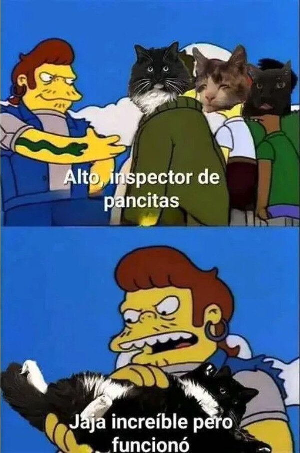 Meme_otros - Cuando me encuentro gatos en la calle