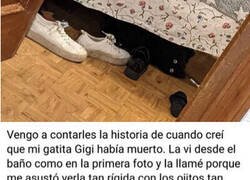 Enlace a Tremendo susto