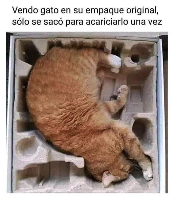 Meme_otros - Se vende gato