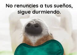 Enlace a Mi ideal a seguir