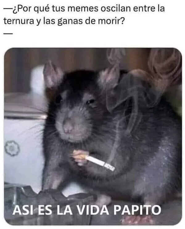 Meme_otros - Mis memes reflejan mi sentir