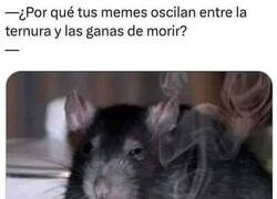 Enlace a Mis memes reflejan mi sentir