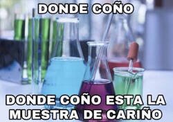 Enlace a Muchas muestras pero no encuentro la que busco