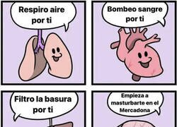 Enlace a Qué haríamos sin nuestros órganos