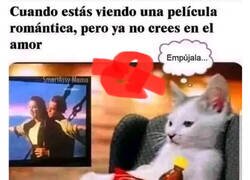 Enlace a Las veo sin ningún tipo de sentimiento