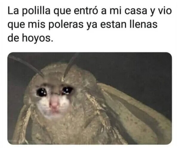 Otros - No tiene nada que hacer aquí