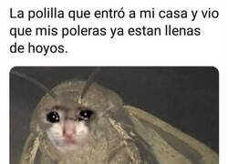 Enlace a No tiene nada que hacer aquí