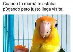 Enlace a Como si no hubiera ocurrido nada