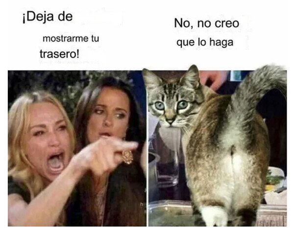 Otros - Los Michis son así