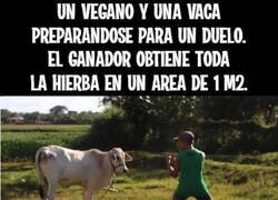 Enlace a Bonito duelo