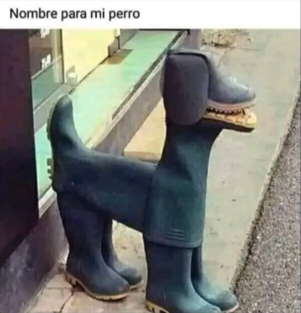 Meme_otros - Está el Gato con Botas... ¡y el Perro de Botas!