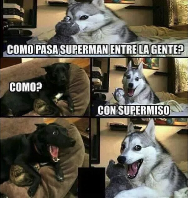 Meme_otros - Volvió el perro chistoso