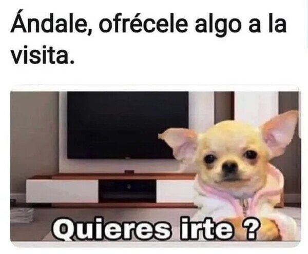 Otros - Todo lo que puedo ofrecer