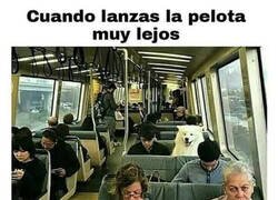 Enlace a Te pasaste