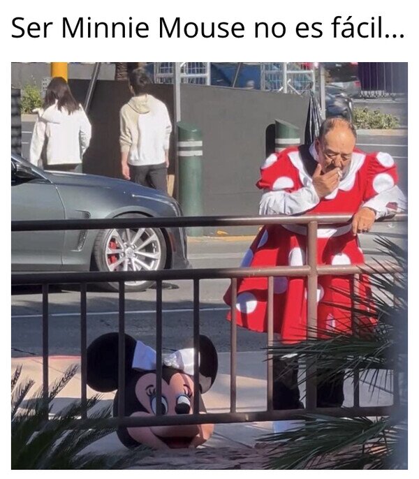Meme_otros - La vida Disney no es tan perfecta como la pintan