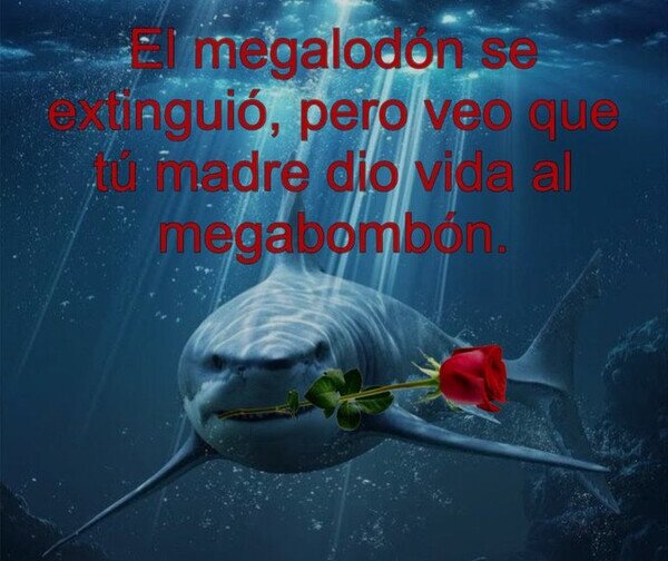 Meme_otros - Si esto no funciona, yo ya no sé...