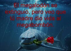 Enlace a Si esto no funciona, yo ya no sé...