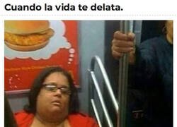 Enlace a ¿Con qué estará soñando?