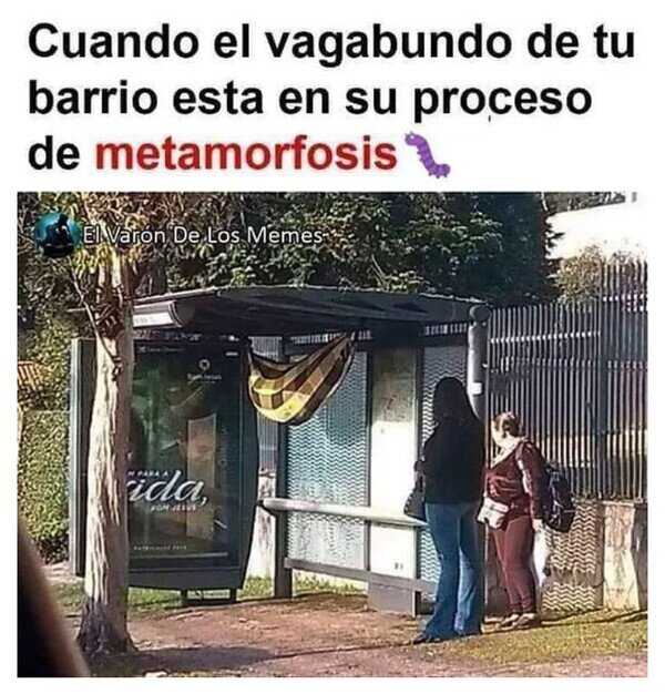 Otros - Pronto será una bonita mariposa
