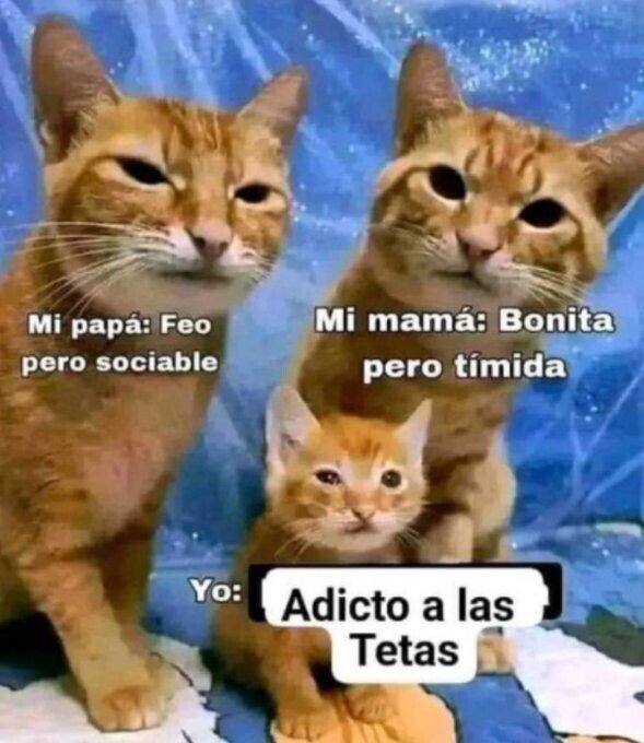 Meme_otros - Salí como salí