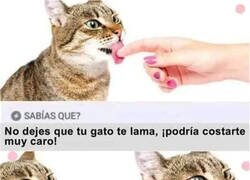 Enlace a Ya te cobran por todo