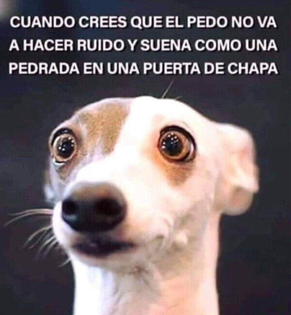 Otros - Pensaba que no era de los ruidosos
