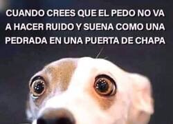 Enlace a Pensaba que no era de los ruidosos