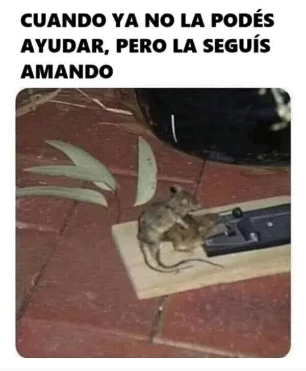 Meme_otros - No sé si quería ver esto...