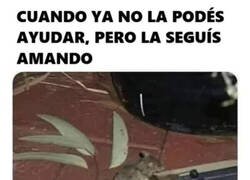 Enlace a No sé si quería ver esto...