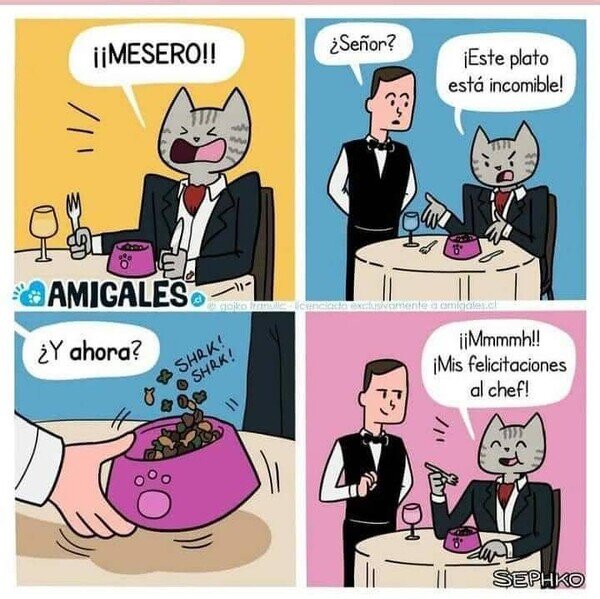 Meme_otros - Simplemente gatos