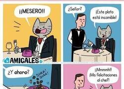 Enlace a Simplemente gatos