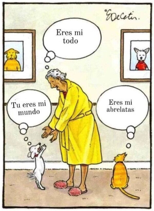 Meme_otros - Lo que piensan nuestras mascotas de nosotros