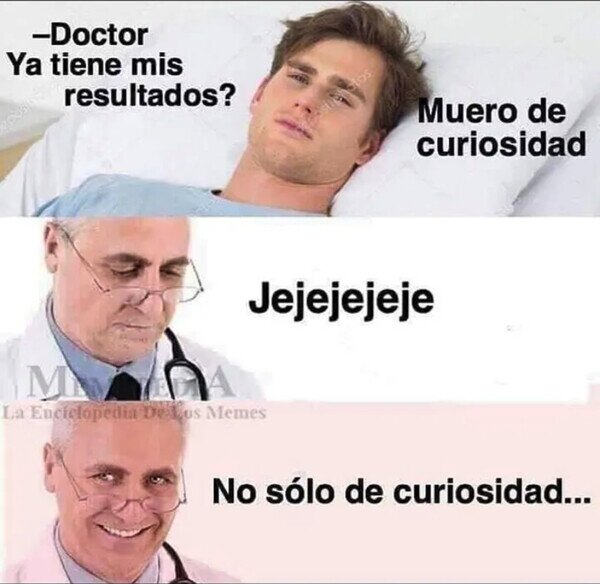 Otros - La curiosidad mató al gato