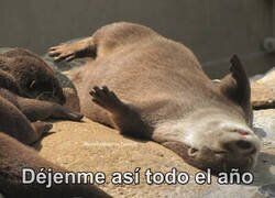 Enlace a Al 2024 solo le pido una cosa