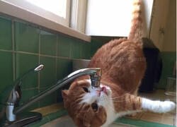 Enlace a Tú eres el dueño de tu vida