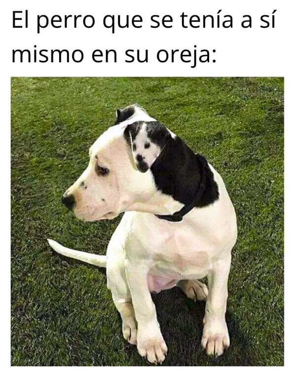 Meme_otros - Le va diciendo lo que tiene que hacer