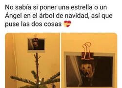 Enlace a En esta casa se ama mucho a Firulais